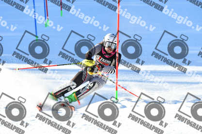 PER ACQUISTARE I FILE