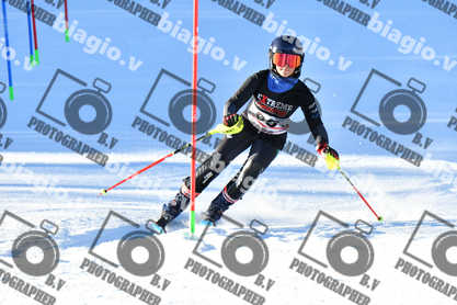 PER ACQUISTARE I FILE