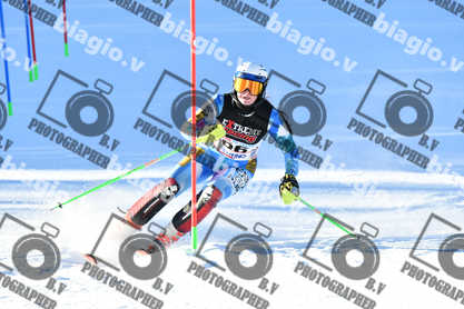 PER ACQUISTARE I FILE