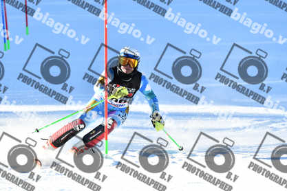 PER ACQUISTARE I FILE