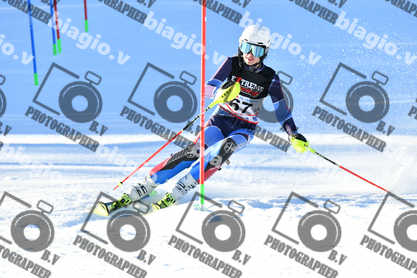 PER ACQUISTARE I FILE