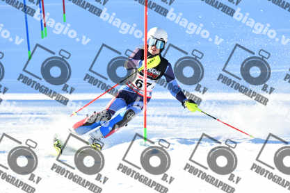 PER ACQUISTARE I FILE