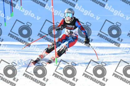 PER ACQUISTARE I FILE