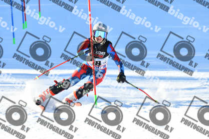 PER ACQUISTARE I FILE