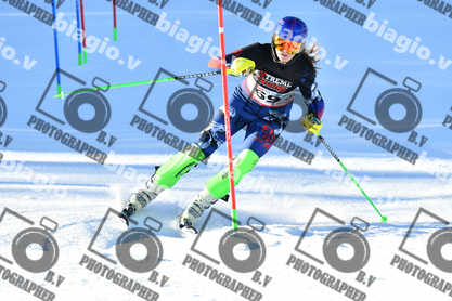 PER ACQUISTARE I FILE