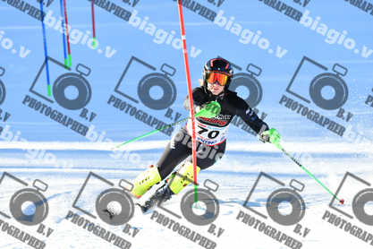 PER ACQUISTARE I FILE