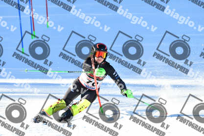 PER ACQUISTARE I FILE