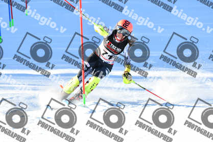 PER ACQUISTARE I FILE