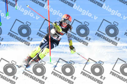 PER ACQUISTARE I FILE