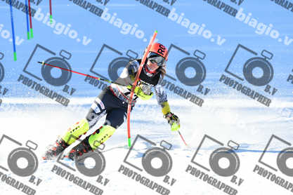 PER ACQUISTARE I FILE