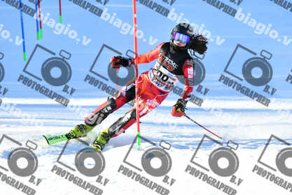 PER ACQUISTARE I FILE