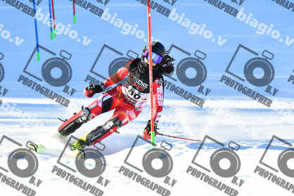 PER ACQUISTARE I FILE