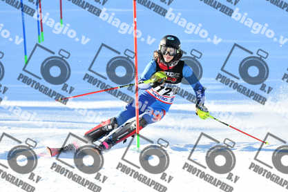 PER ACQUISTARE I FILE