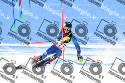 PER ACQUISTARE I FILE