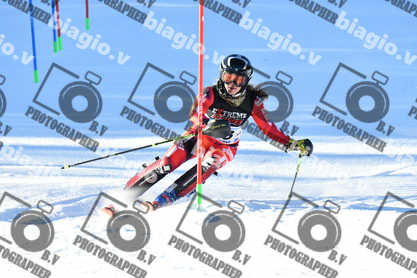 PER ACQUISTARE I FILE