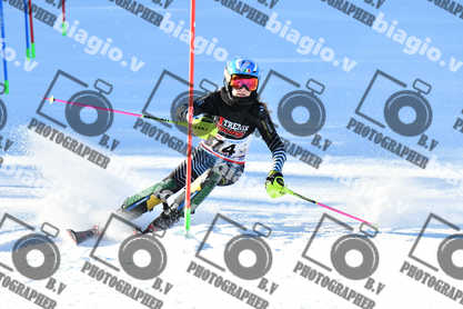 PER ACQUISTARE I FILE