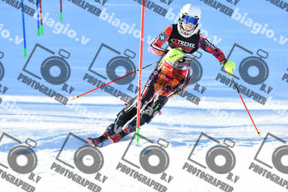 PER ACQUISTARE I FILE