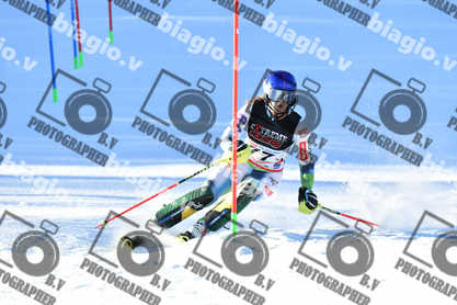 PER ACQUISTARE I FILE