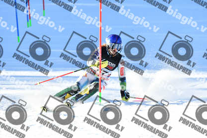 PER ACQUISTARE I FILE