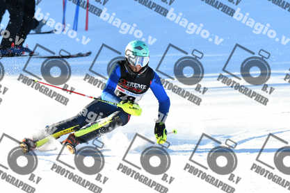 PER ACQUISTARE I FILE