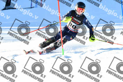 PER ACQUISTARE I FILE