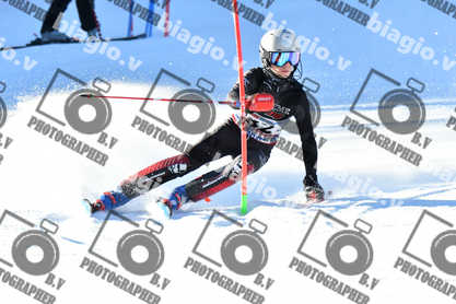 PER ACQUISTARE I FILE