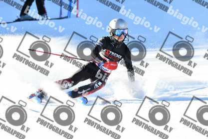 PER ACQUISTARE I FILE