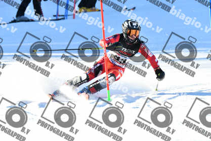 PER ACQUISTARE I FILE