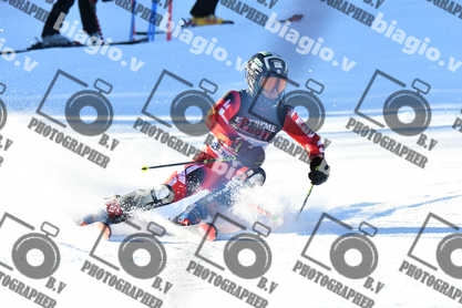 PER ACQUISTARE I FILE