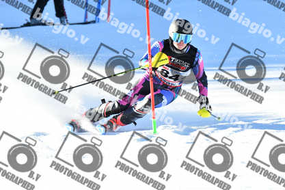 PER ACQUISTARE I FILE