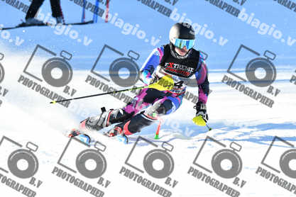 PER ACQUISTARE I FILE