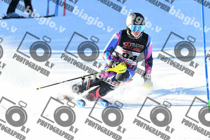 PER ACQUISTARE I FILE