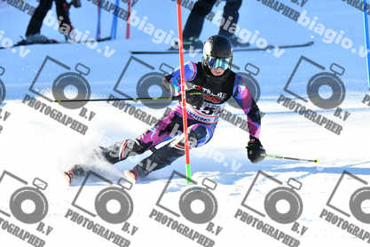 PER ACQUISTARE I FILE