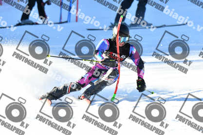 PER ACQUISTARE I FILE