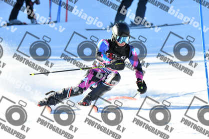 PER ACQUISTARE I FILE