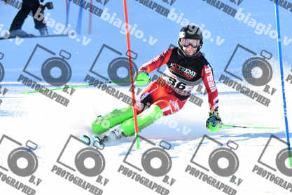 PER ACQUISTARE I FILE