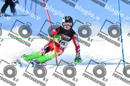 PER ACQUISTARE I FILE