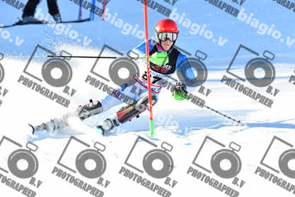 PER ACQUISTARE I FILE