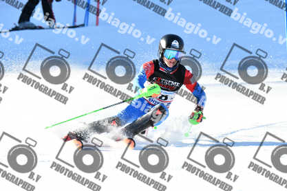 PER ACQUISTARE I FILE