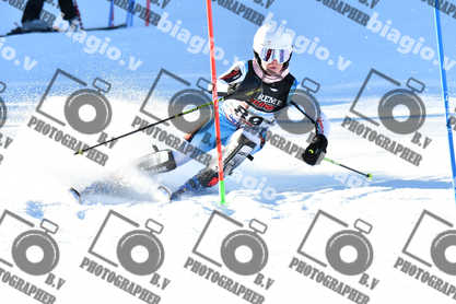 PER ACQUISTARE I FILE