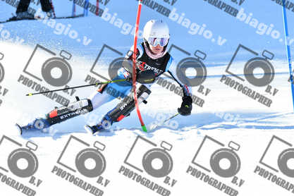 PER ACQUISTARE I FILE