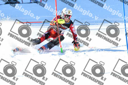 PER ACQUISTARE I FILE