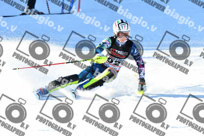 PER ACQUISTARE I FILE