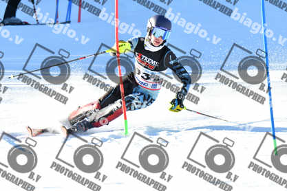 PER ACQUISTARE I FILE