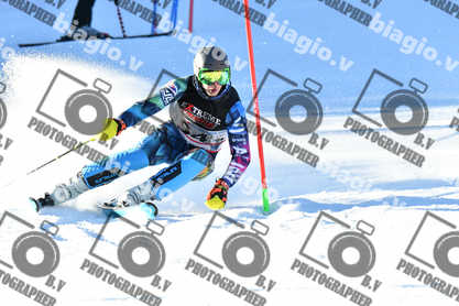 PER ACQUISTARE I FILE