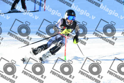 PER ACQUISTARE I FILE