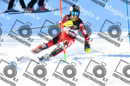 PER ACQUISTARE I FILE