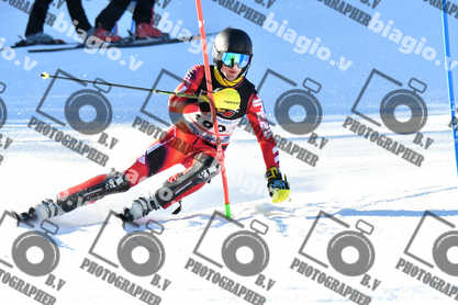 PER ACQUISTARE I FILE