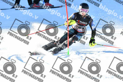 PER ACQUISTARE I FILE