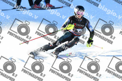 PER ACQUISTARE I FILE